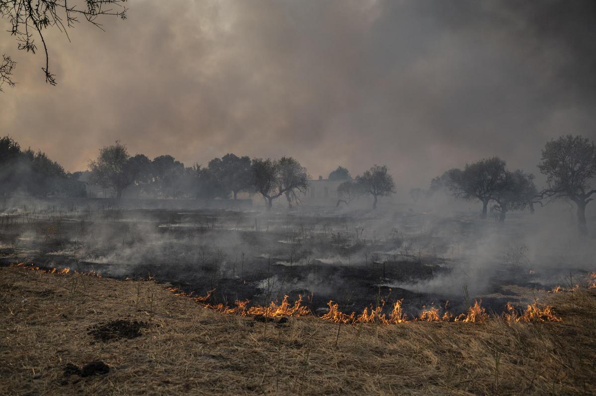 FOTOGALERÍA | Las imágenes del incendio de Arroyo de la Luz