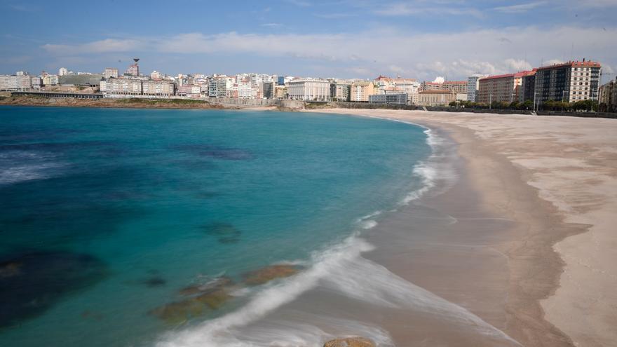 La Xunta detecta en A Coruña un caso de ave silvestre afectada por gripe aviar