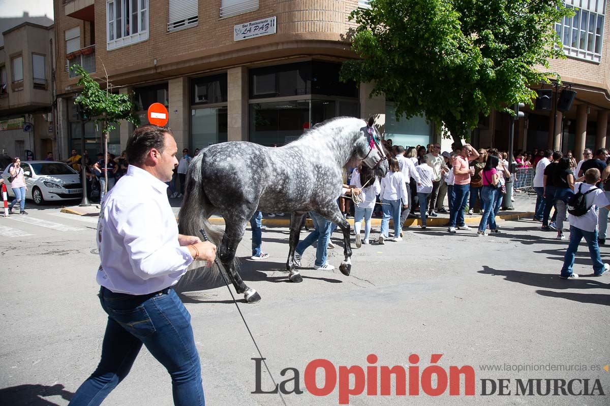 Pasacalles caballos del vino al hoyo