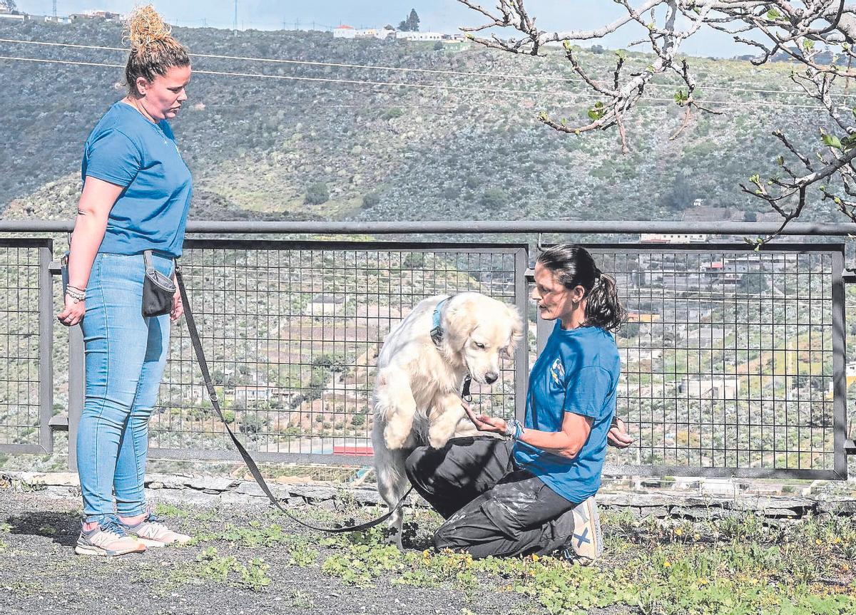 A la derecha, la instructora Meritxell Arias trabaja con Suggar, el golden retriever.