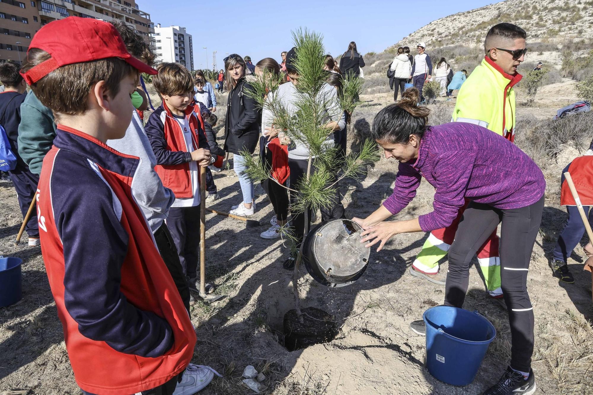 Los alumnos de Salesianos reforestan la "montaña del huevo" por tercer año consecutivo