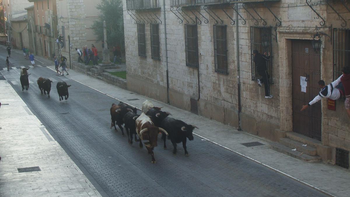 Los astados recorren la calle Rejadorada en un encierro urbano de San Agustín