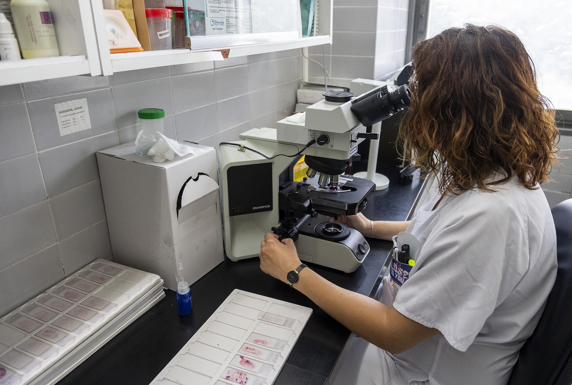 Protocolo para optimizar la respuesta rápida en código sepsis en Alicante