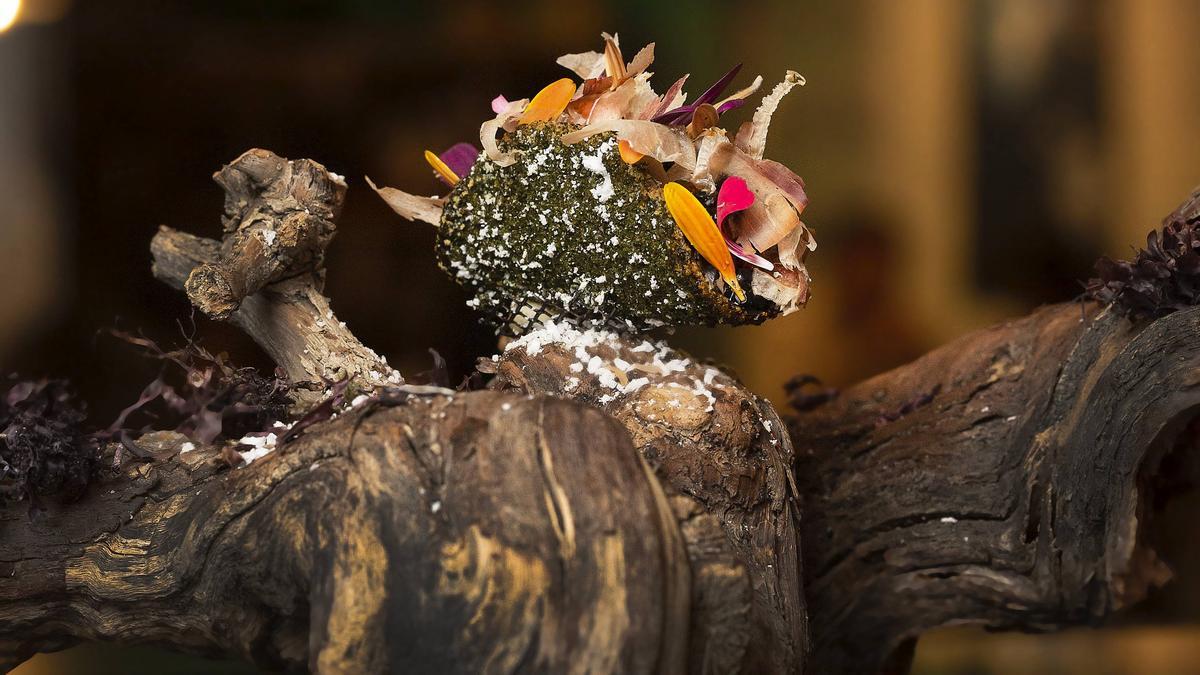 El ‘Umami marino’ del Nola Gras ha sido la tapa ganadora este año en el Concurso de Tapas de Zaragoza y provincia.