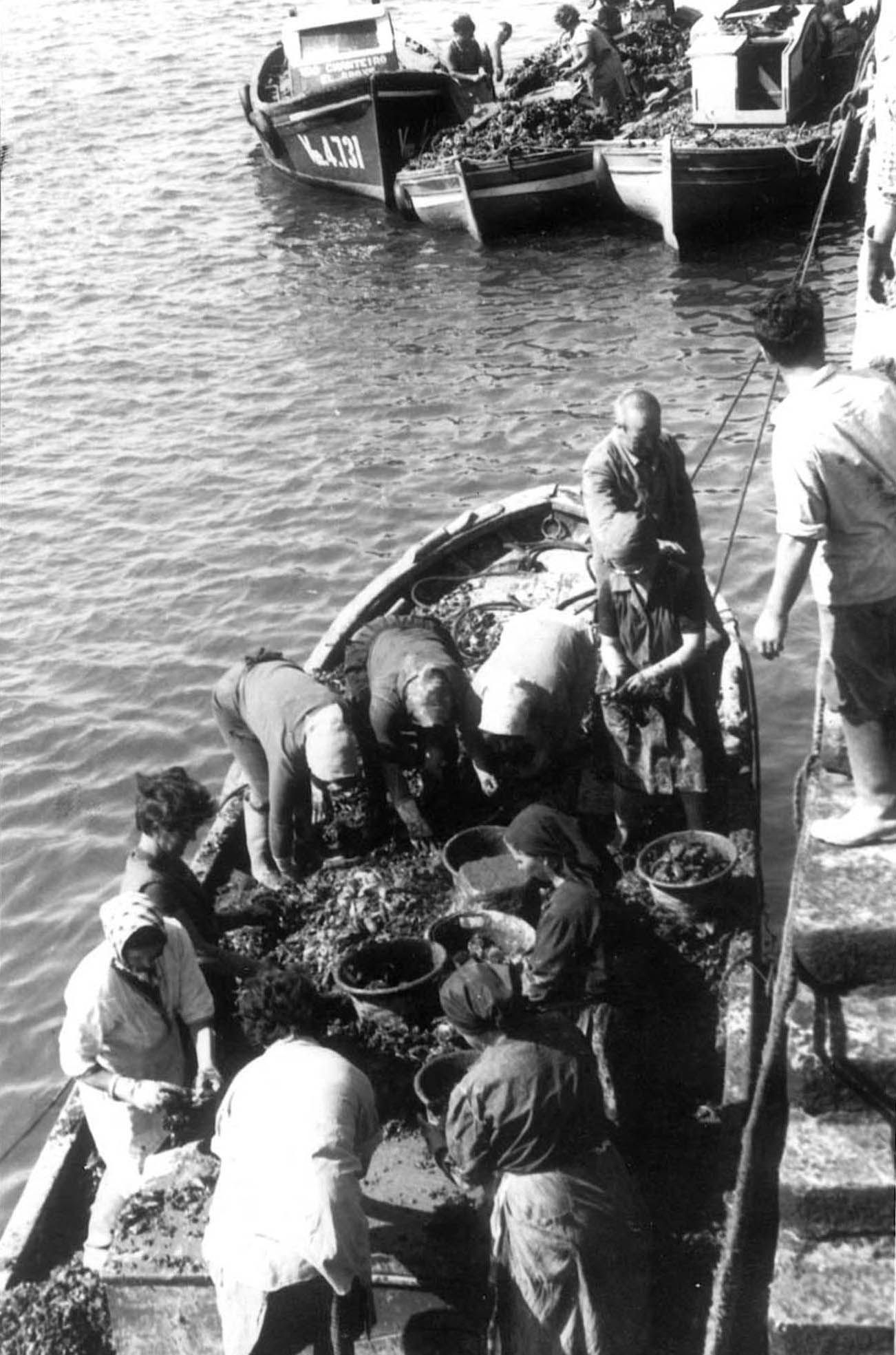 Mariscadoras/es faenando en 1966