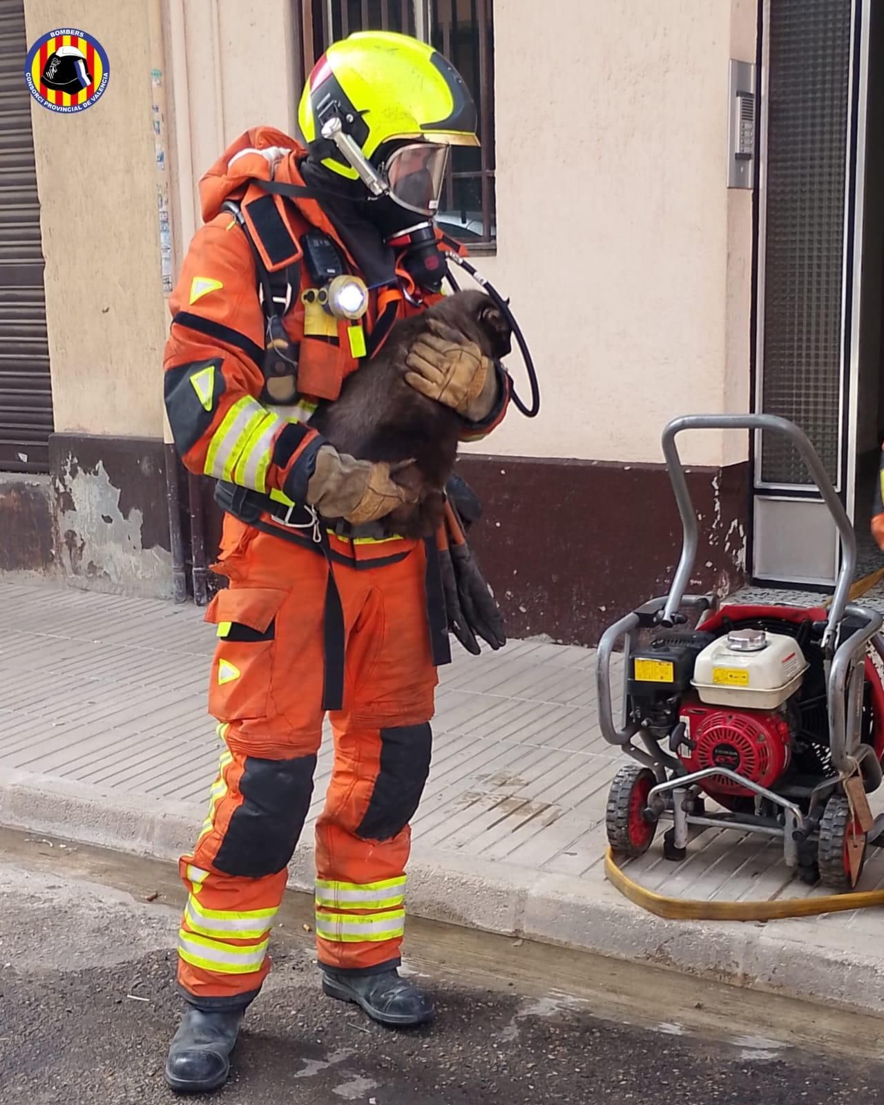 Un bombero con un equipo de respiración al sacar de la vivienda a uno de los gatos.