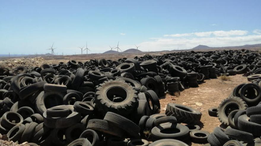 El Cabildo eliminará el &#039;cementerio&#039; de neumáticos del Complejo Ambiental de Arico