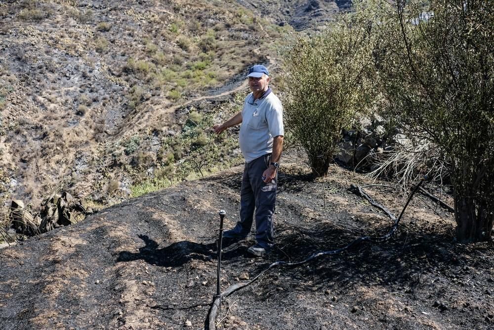 Tejeda tras el incendio