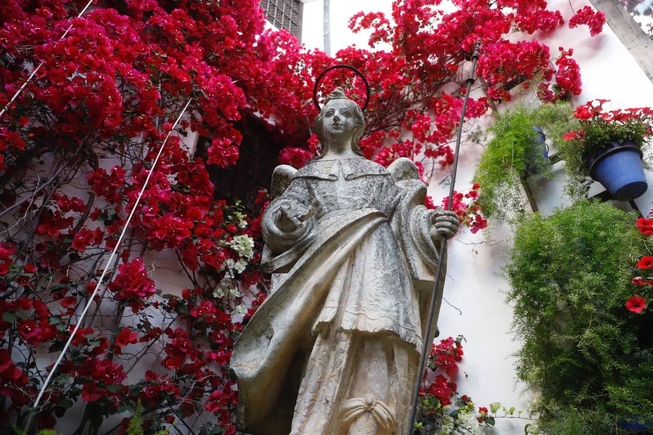 Los Patios galardonados
