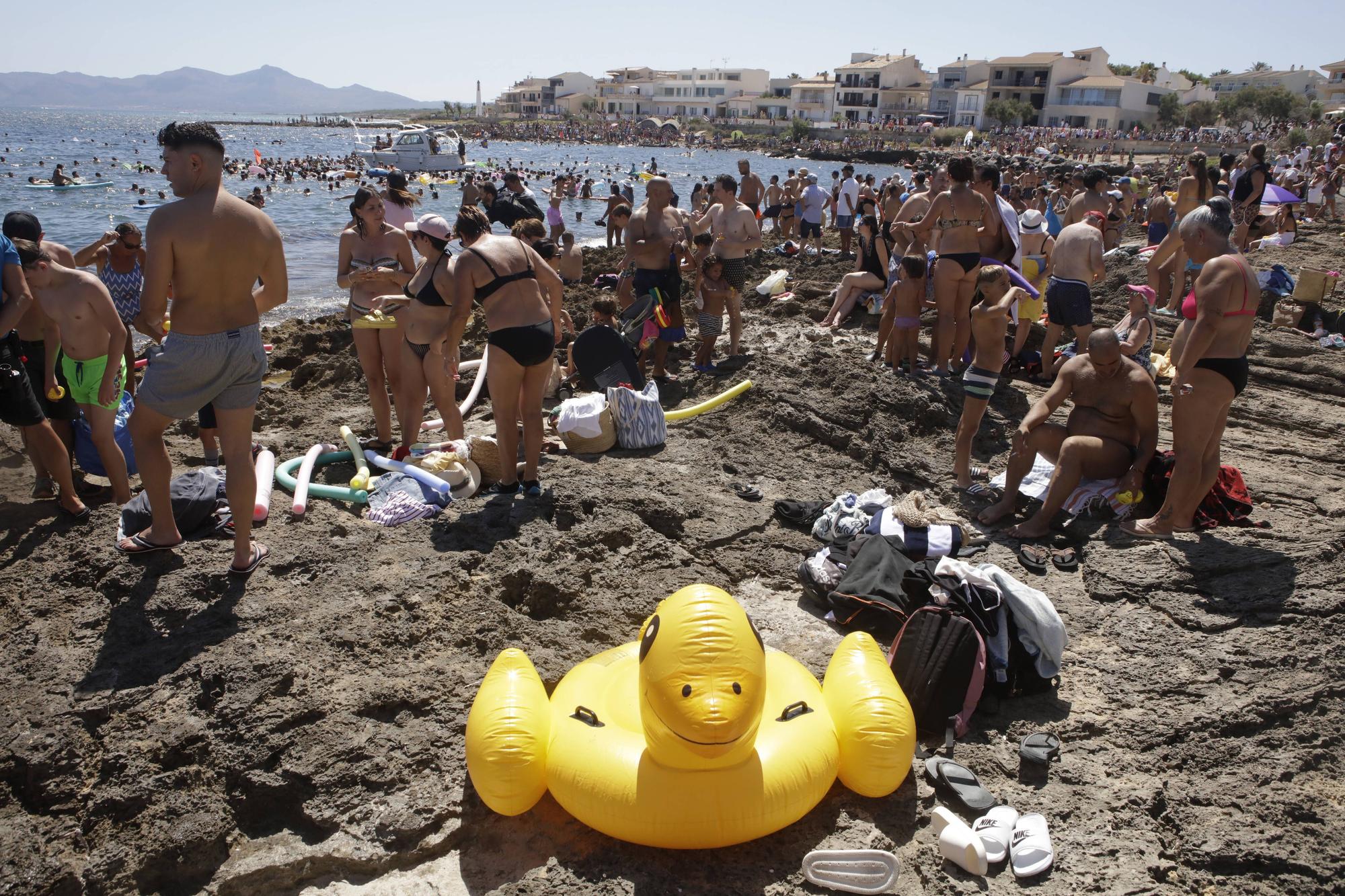 Fiestas en Mallorca: Multitudinario chapuzón con patos en Can Picafort