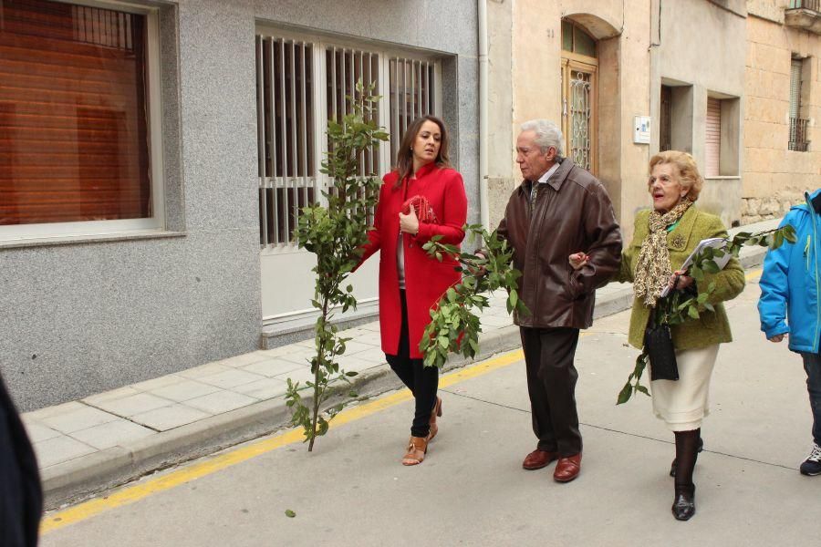 Procesión de Santa María en Fuentesaúco