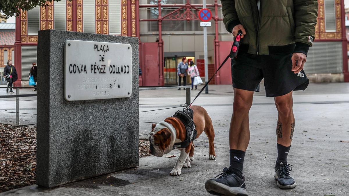 La placa dedicada a la recordada libertaria de Sant Antoni, un año y medio después de su colocación.