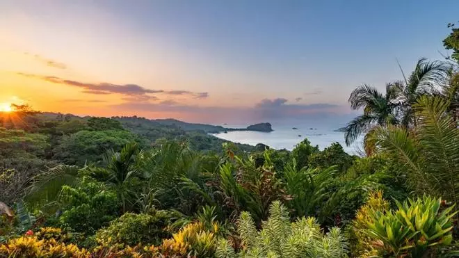 Volcanes imponentes, selvas vírgenes y tours cafeteros te esperan en la próxima Expedición VIAJAR a Costa Rica
