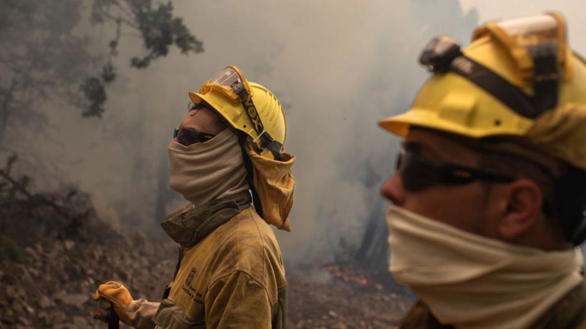 Bombers treballant en l’incendi de Zamora. | EUROPA PRESS