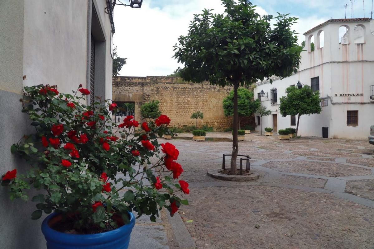 Paseo por el Alcázar Viejo durante la crisis del coronavirus