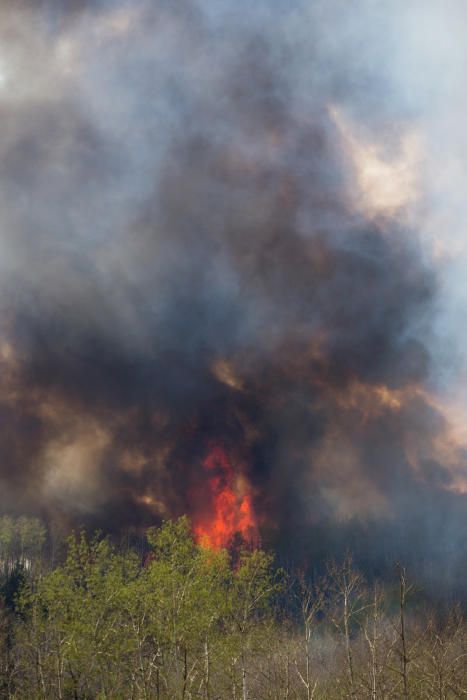 El incendio registrado en la localidad canadiense de Fort McMurray, en el estado de Alberta, ha destruido miles de hectáreas y de viviendas.