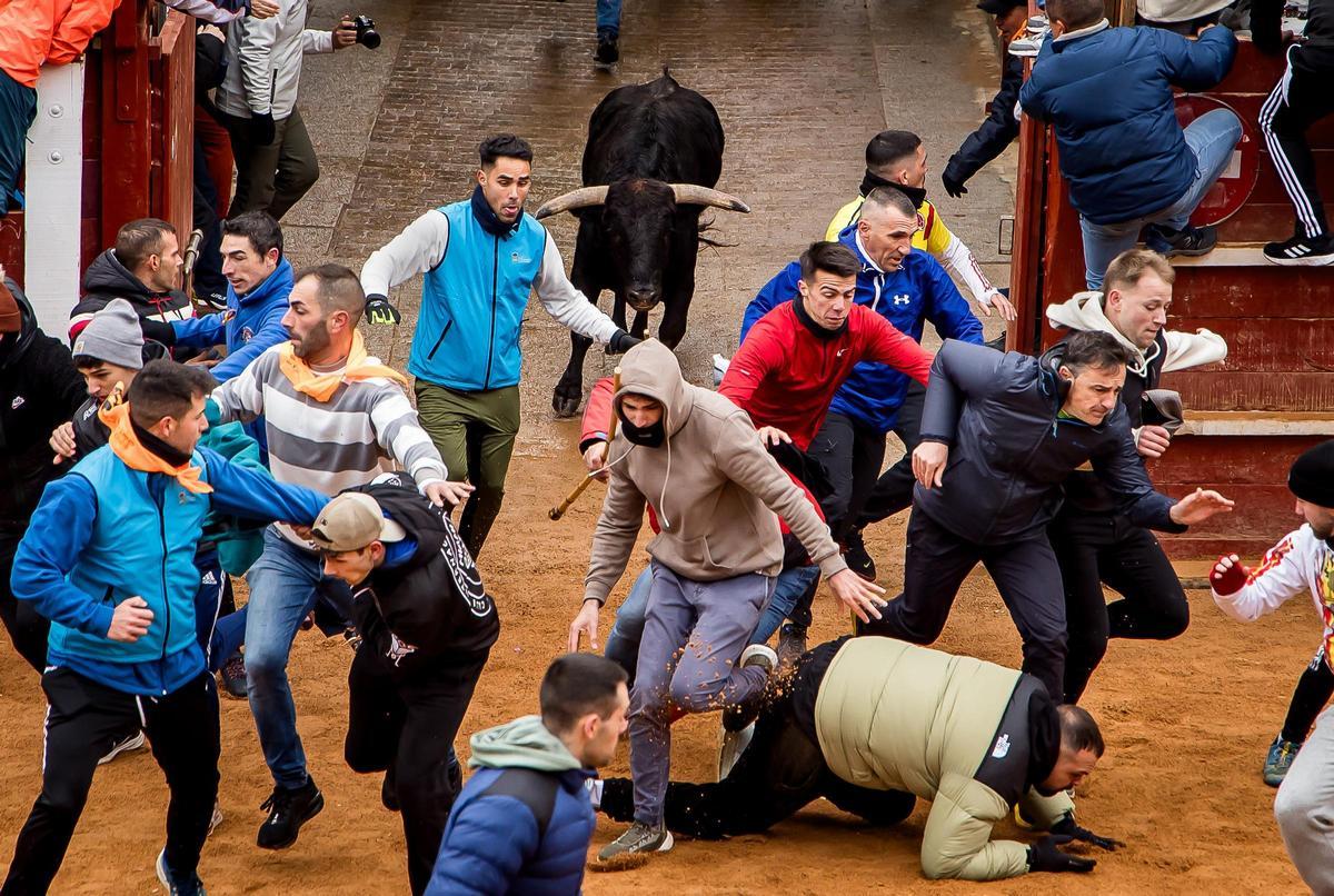 Carnaval del Toro en Ciudad Rodrigo (Salamanca)