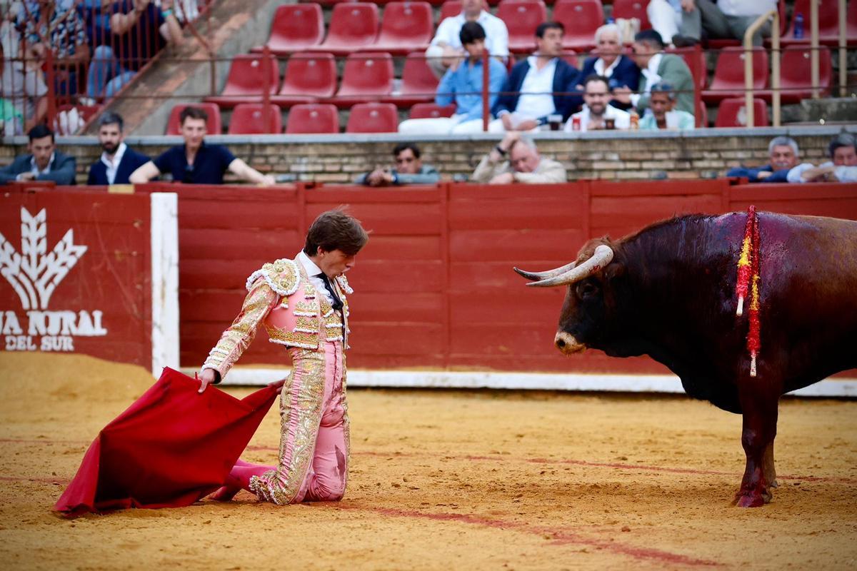 La novillada de Córdoba, en imágenes La novillada de Córdoba, en imágenes