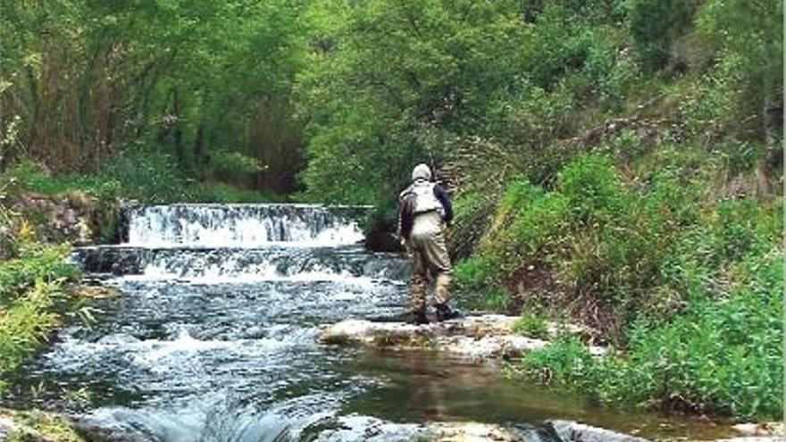 El río Palancia es uno de los pocos ríos trucheros valencianos en el que practicar la pesca.