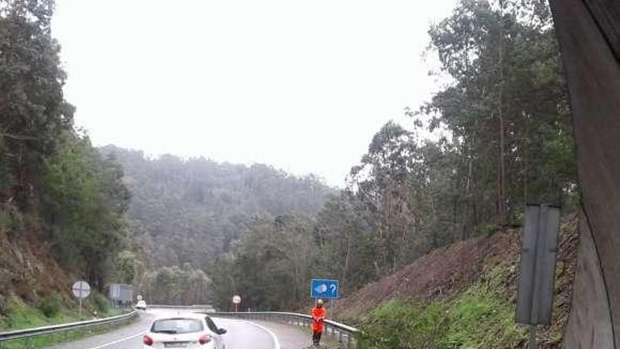 Árbol caído en el túnel de Coiro, en el corredor. // G.N.