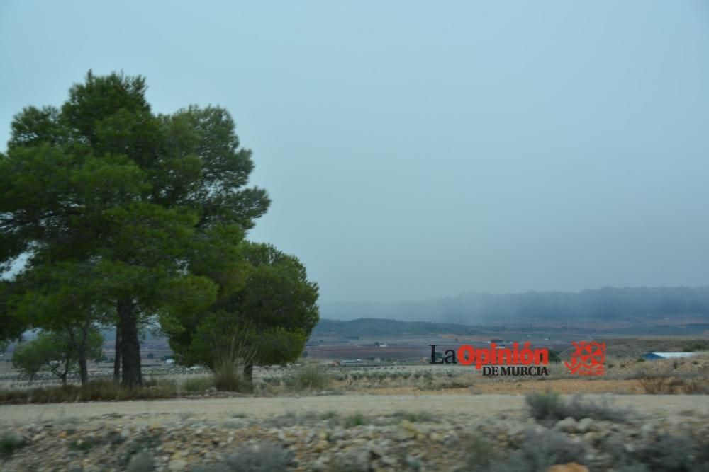 Nieve en el Altiplano murciano