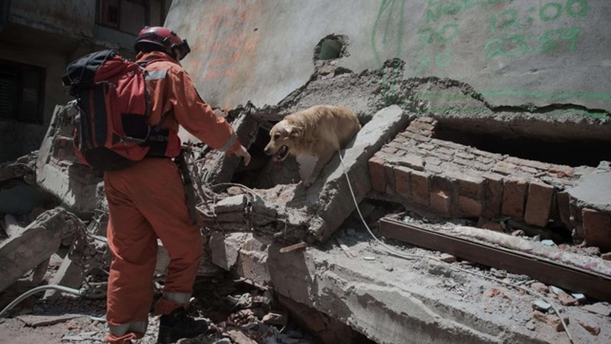 Un miembro del equipo de rescate polaco, acompañado por un perro, busca supervivientes entre los escombros, este viernes en Katmandú.