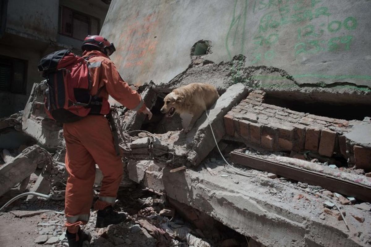Un membre de l’equip de rescat polonès, acompanyat per un gos, busca supervivents entre la runa, aquest divendres a Kàtmandu.