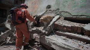 Un membre de l’equip de rescat polonès, acompanyat per un gos, busca supervivents entre la runa, aquest divendres a Kàtmandu.