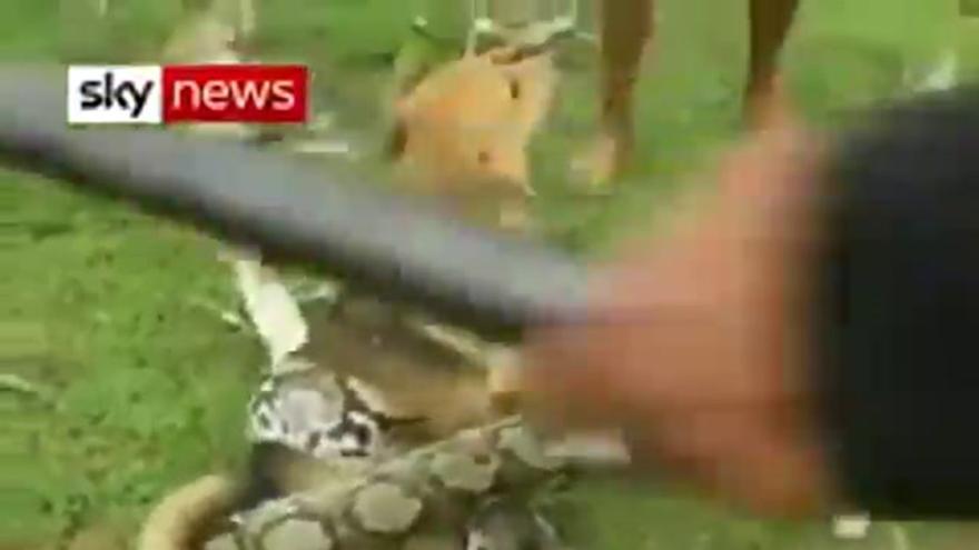 Niños rescatan a un perro del ataque de una serpiente