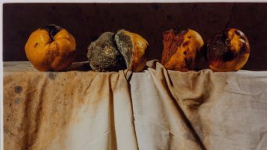 Portada del disc d’Ànimos Parrec!