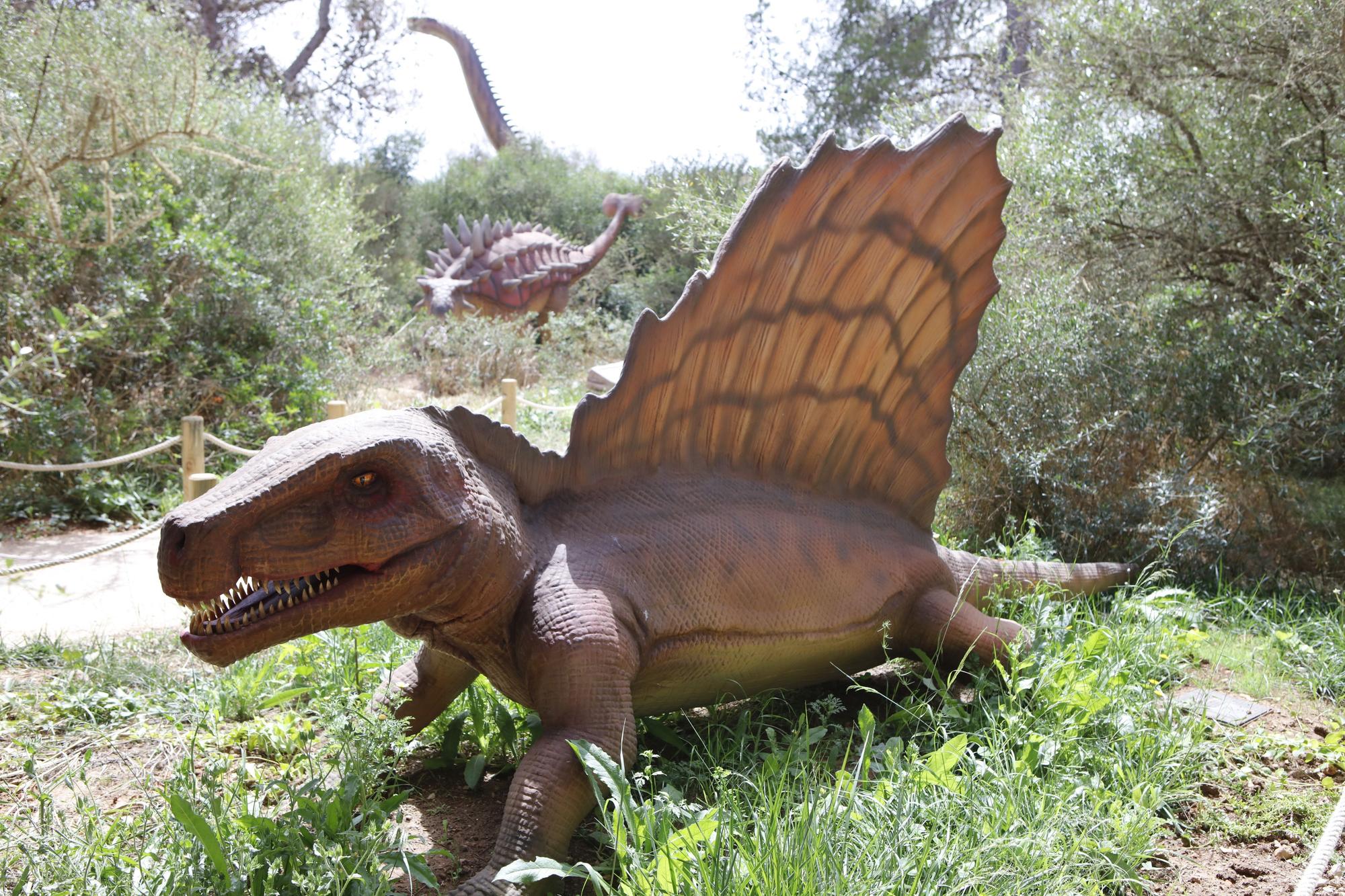 Besuch im neuen Dino-Park auf Mallorca