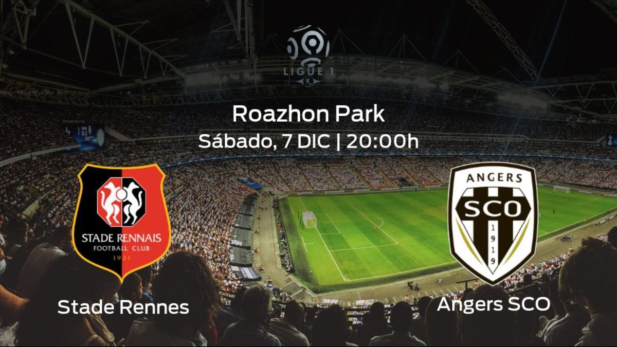 Jornada 17 de la Ligue 1: previa del duelo Stade Rennes - SCO Angers