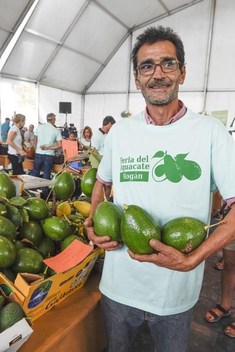 III FERIA DEL AGUACATE