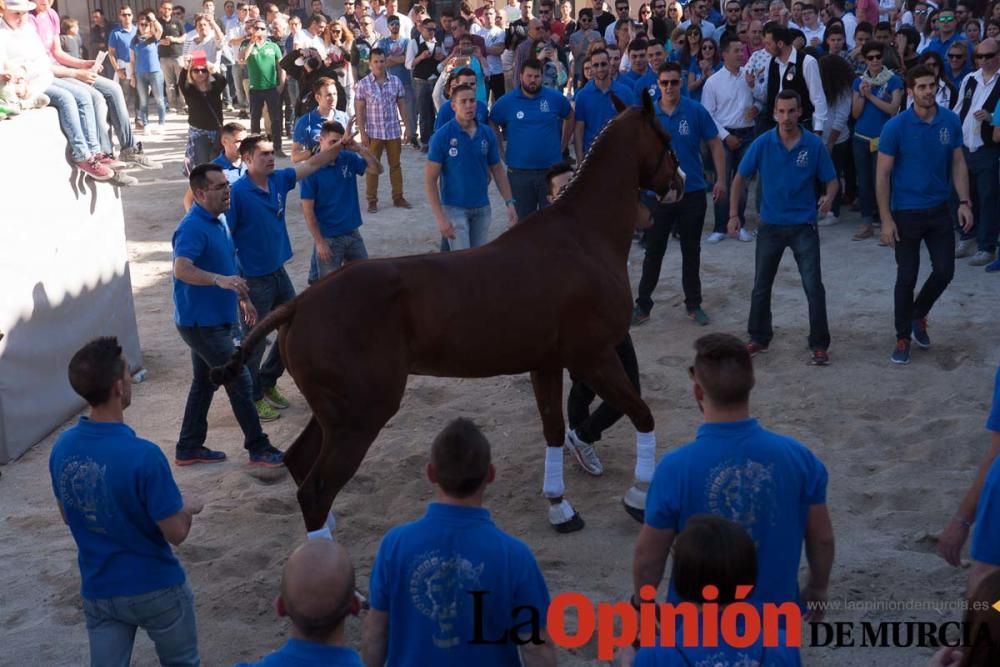 Día uno de mayo, entrada de caballos al Hoyo