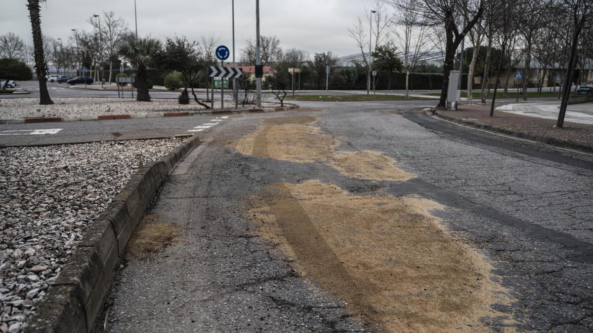 FOTOGALERÍA | Comienzan los arreglos en los viales de acceso al campus universitario de Cáceres
