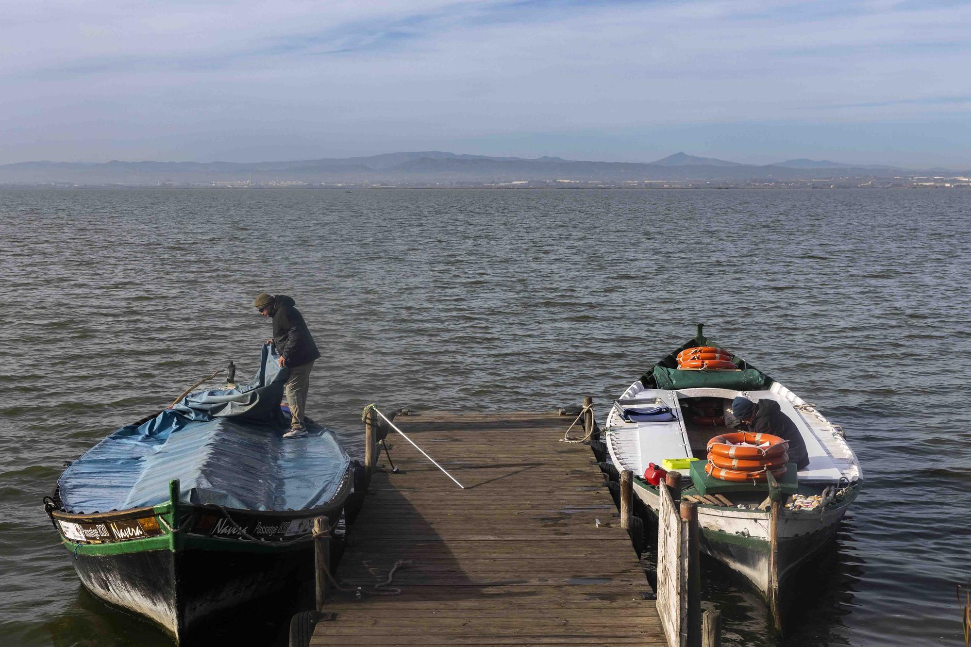 L'Albufera y su biodiversidad disfrutan de una caudal histórico