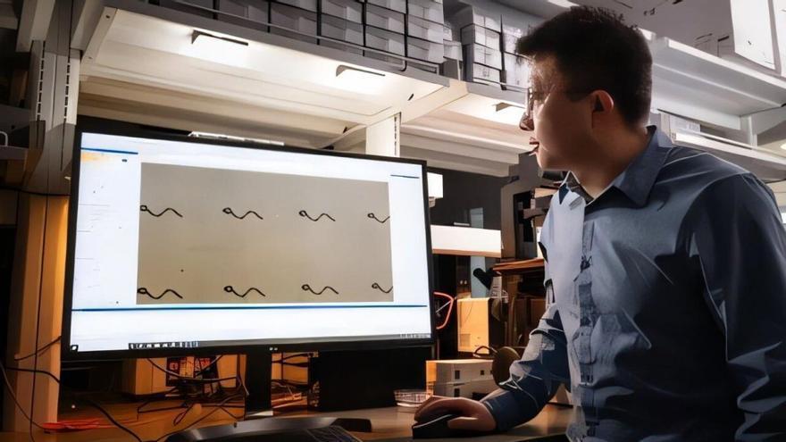 Microrrobots del grosor de un cabello combinan tre