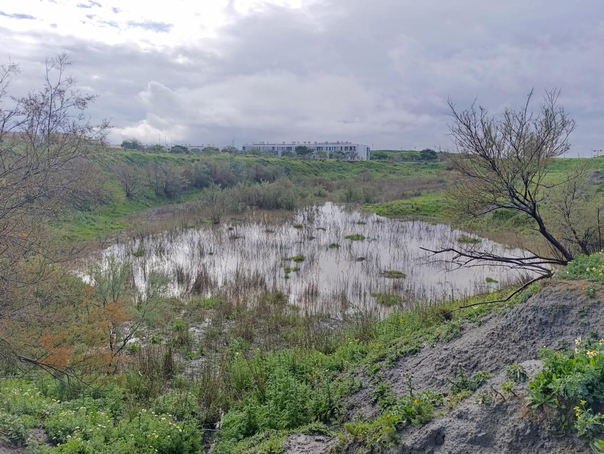 Vista parcial de la Laguna de Soliva la semana padada.