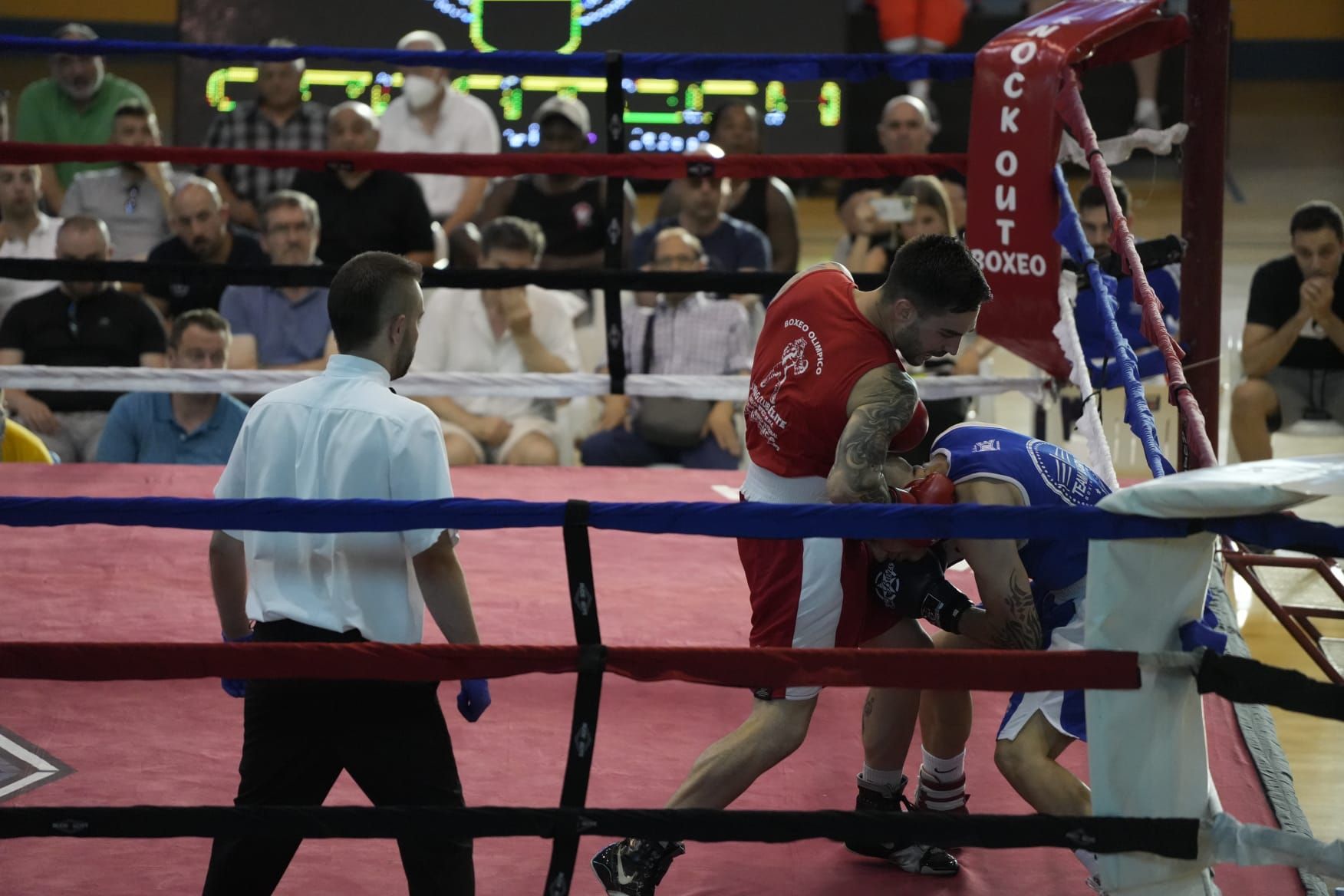 GALERÍA | Las imágenes de la velada de boxeo en Zamora - La Opinión de  Zamora