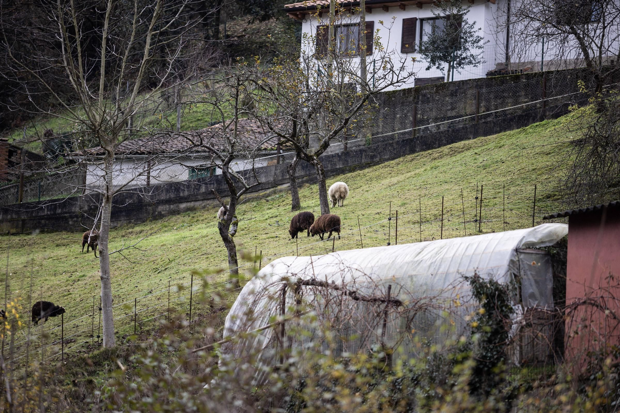 Asturianos en Morcín, un recorrido por el municipio