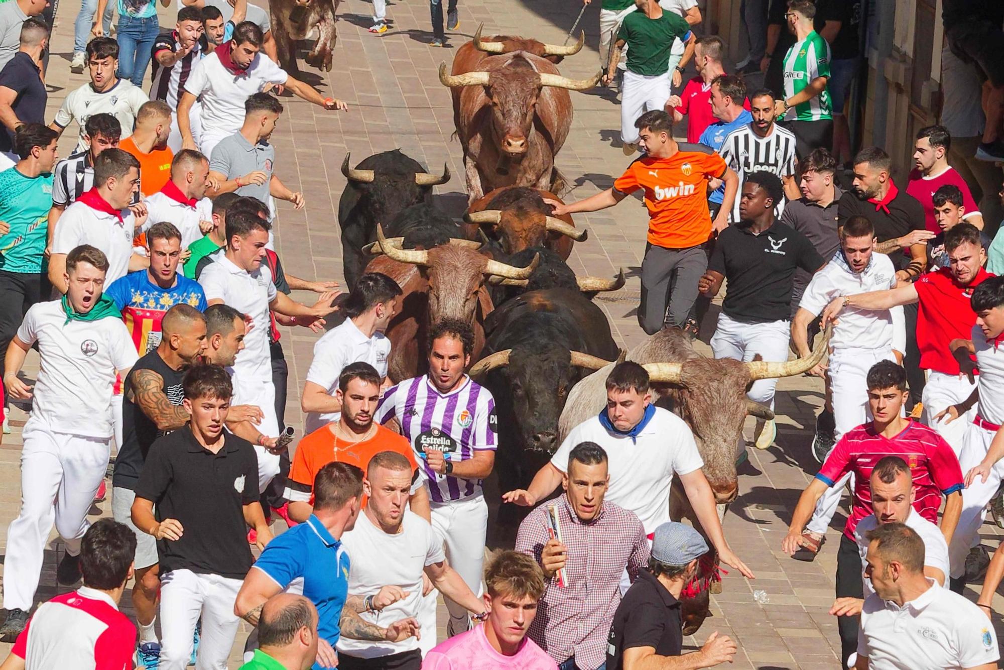 Las imágenes del primer encierro de las fiestas de Almassora