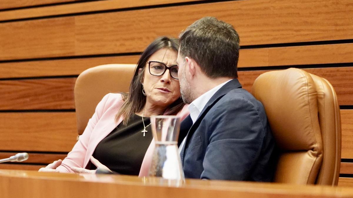 Ana Sánchez y Diego Moreno en las Cortes.