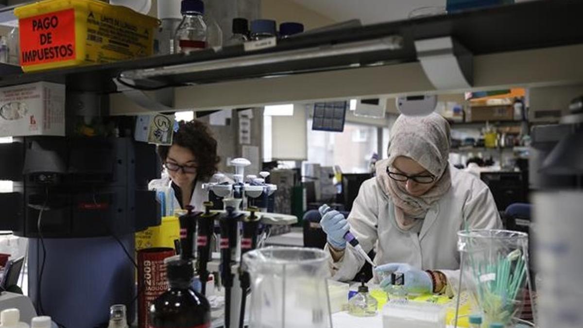 Laboratorio del Hospital Clínic donde se trabaja en la vacuna contra la malaria.