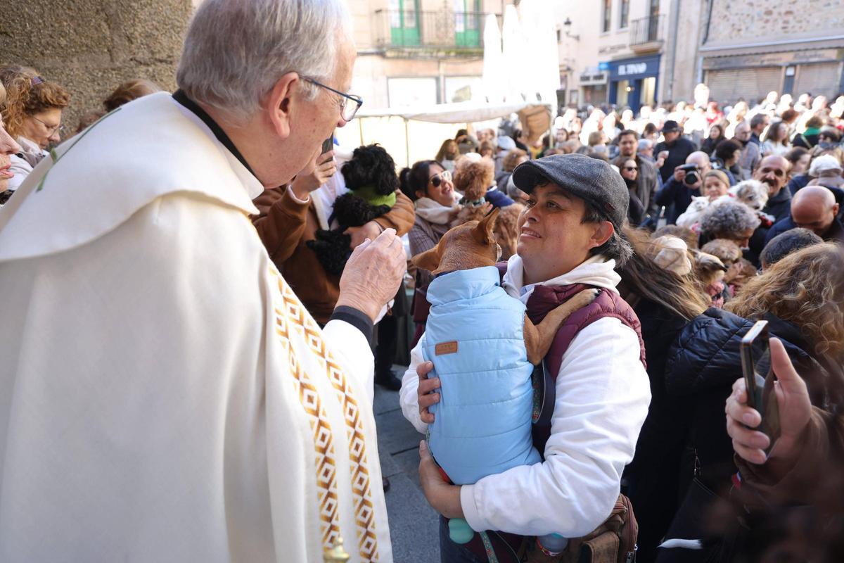 Fotogalería | Así se ha vivido la bendición de las mascotas cacereñas por San Antón