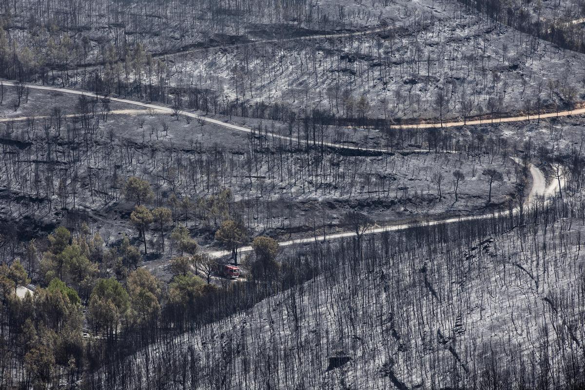  Urbanización River Park del Pont de Vilomara muy afectada por el incendio forestal que empezó el pasado domingo en el Pont de Vilomara (Bages).