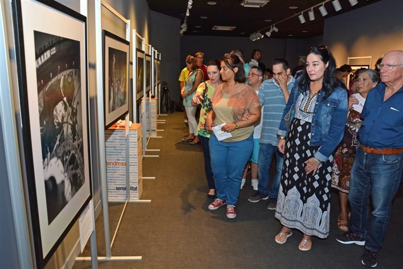 Exposición fotográfica "V15IONES"