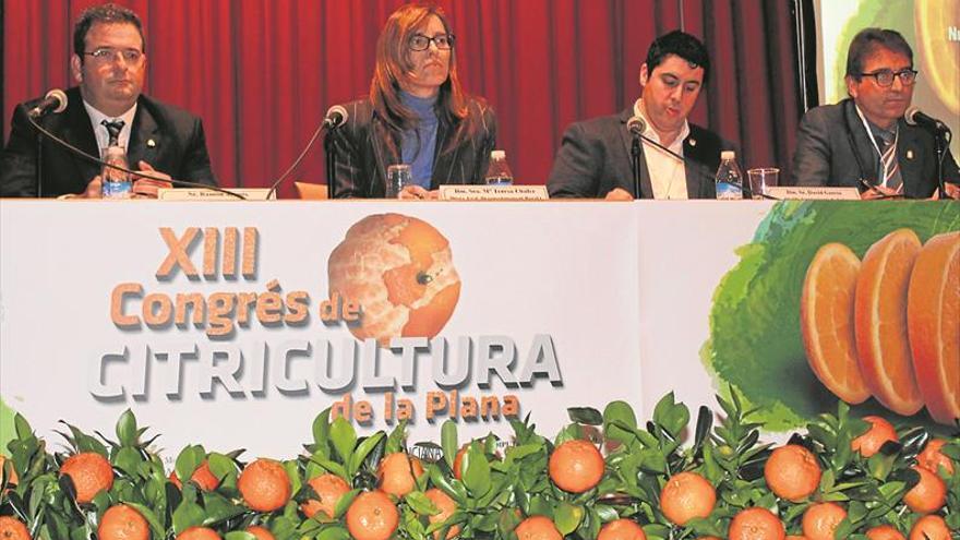 Los expertos inciden en la unión de los agricultores para salvar el sector