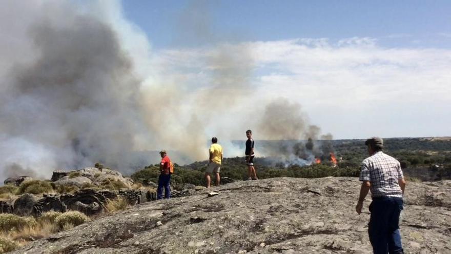 Incendio Castro de Alcañices y Pino del Oro