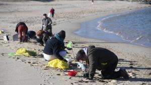 Millones de pellets de plástico han sido vertidos en la costa cantábrica.
