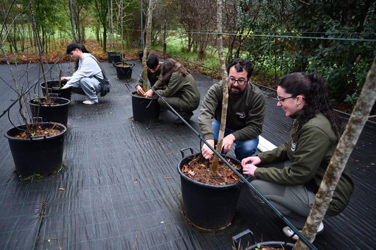Alumnos del Centro de Formación e Experimentación Agroforestal de Lourizán